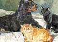 dogs and cats