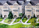 landscape plan